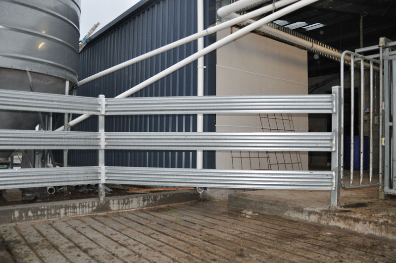 Dairy picture