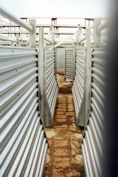 Saleyard