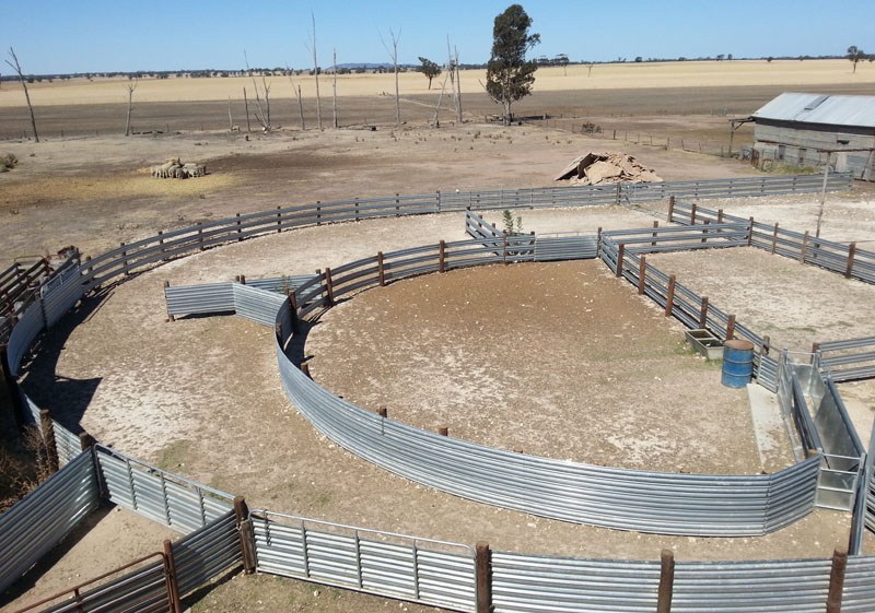 Sheep Yard